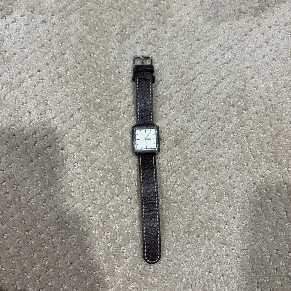 Skagen Watch brown band